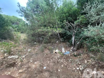 RWK123JA - Land For Sale In Chnaniir - أرض للبيع في شننعير