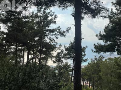 RWK123JA - Land For Sale In Chnaniir - أرض للبيع في شننعير
