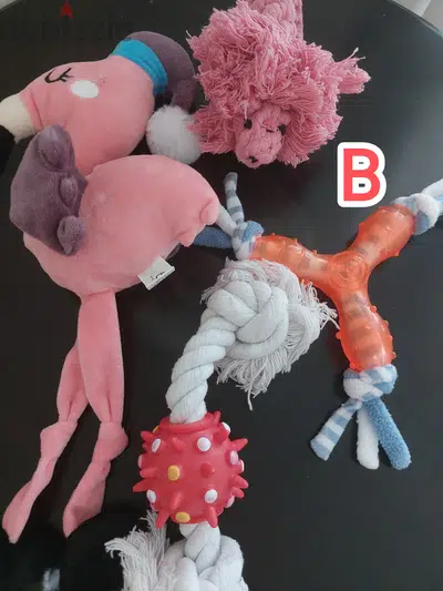 Pet Toys&Accessories, Sale on all, Pricing in Description