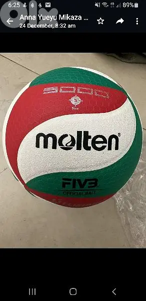 Molten Volleyball
