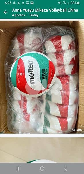 Molten Volleyball 0