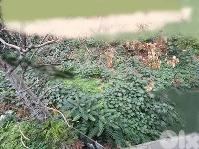 Land for sale in Achrafieh أرض للبيع