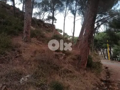 L07548-A rare opportunity! Land for Sale in Konaytra