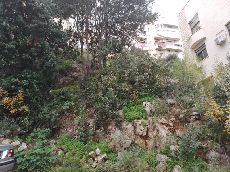 Seaview, Sea View Land 4 sale Elisar, Elissar, Biyada, Mazraat Yachouh 3