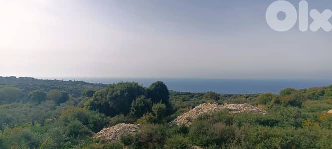 L14208-Land With Access to The Road for Sale in Berbara