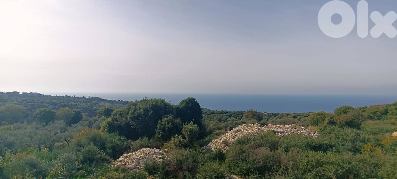 L14208-Land With Access to The Road for Sale in Berbara 1