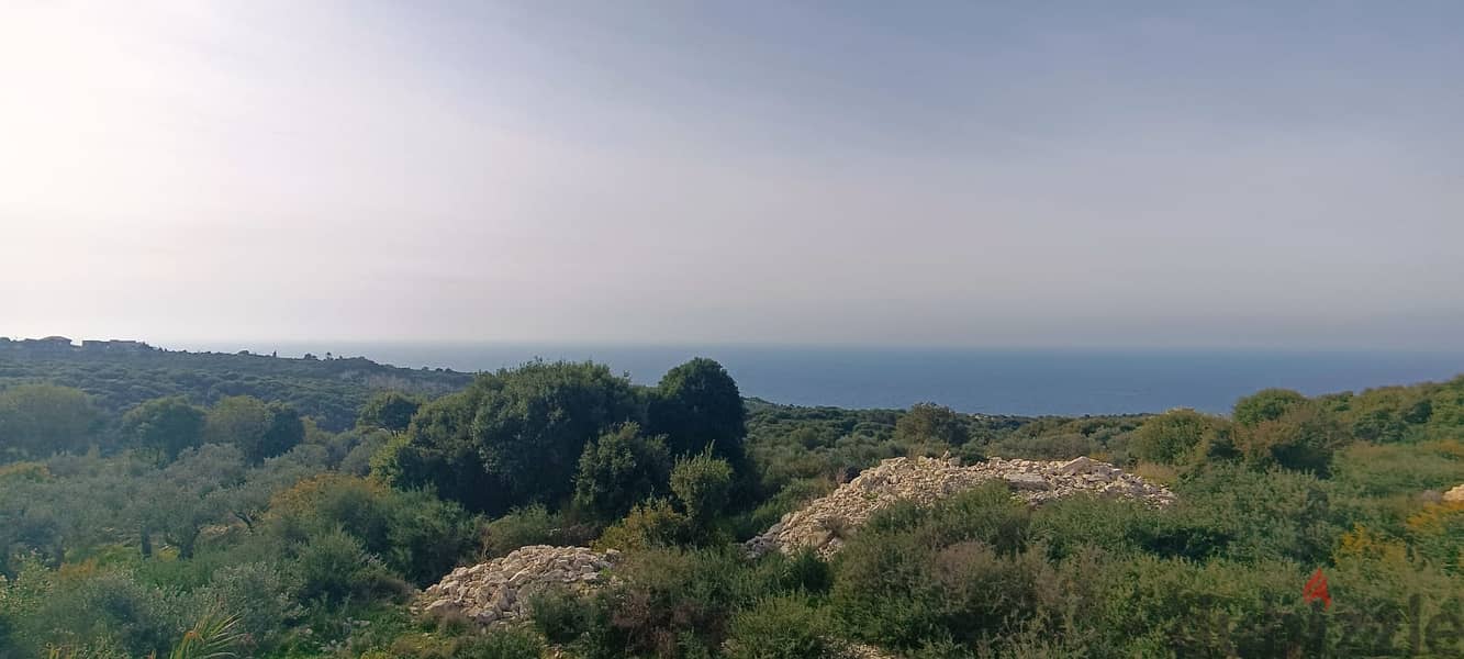 L14210-1,200 SQM Land for Sale in Berbara 1