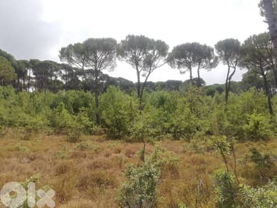 L08226-Land for Sale in Bzebdine