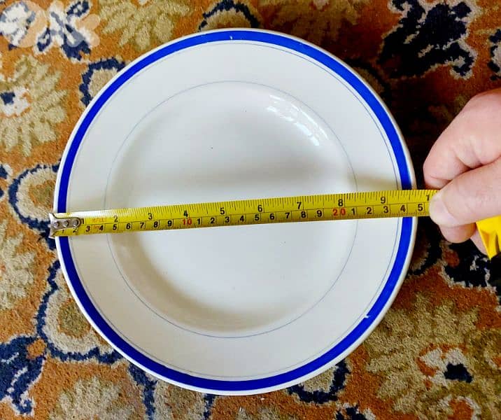 Plates - 6 Pieces  - اطباق عدد 2