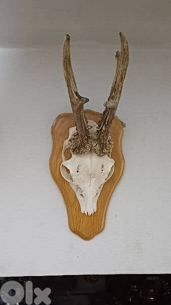 antique 4
