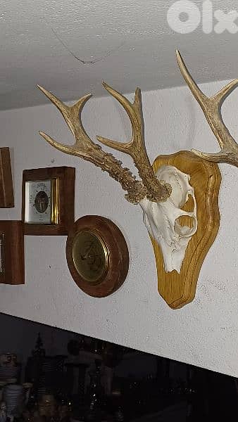 antique 6