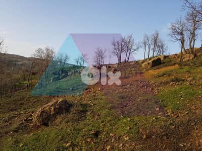 A 3000 m2 land with a view for sale in Fakra - أرض مطلة للبيع في فقرا