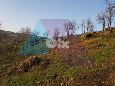 A 3000 m2 land with a view for sale in Fakra - أرض مطلة للبيع في فقرا