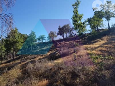 A 3000 m2 land with a view for sale in Fakra - أرض مطلة للبيع في فقرا
