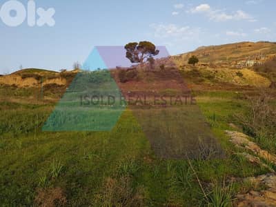 A 3000 m2 land with a view for sale in Fakra - أرض مطلة للبيع في فقرا