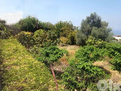 Land in Blat | Unblockable View | أرض للبيع | PLS 25916