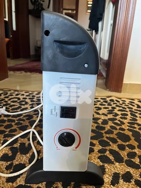 Electric heater 1