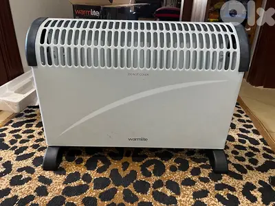 Electric heater
