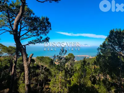 Your own peace of paradise  | Land for sale in Shalimar ( Chalimar )
