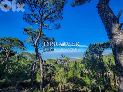 Your own peace of paradise | Land for sale in Shalimar ( Chalimar ) Your own peace of paradise | Land for sale in Shalimar ( Chalimar )