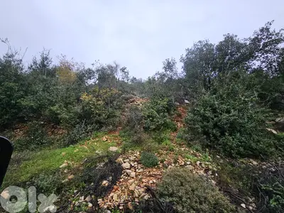 RWB261MT - 3 lands for sale in Haquel Jbeil  اراضي للبيع في جبيل