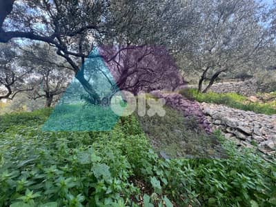 813 m2 land + open sea view for sale in Berbara-أرض للبيع في بربارة