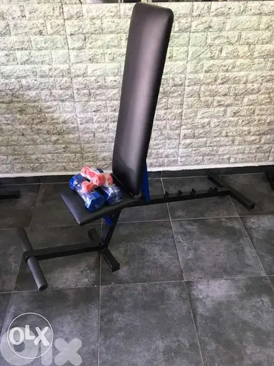 adjustable bench heavy duty with dumbels