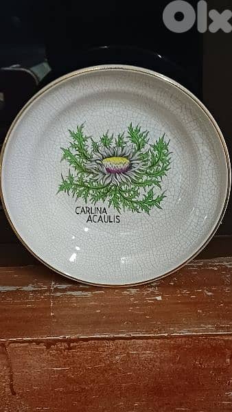 antique 4