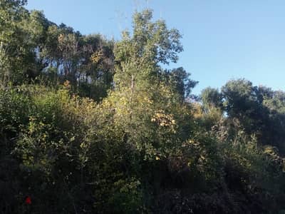 L14557-1,500 SQM Land for Sale In Kfoun