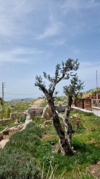 Zaarour plots for sale btw 500m2 upto 1000m2 Zaarour plots for sale btw 500m2 upto 1000m2