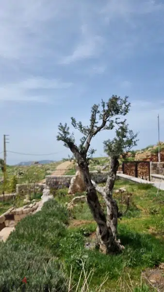 Zaarour plots for sale btw 500m2 upto 1000m2