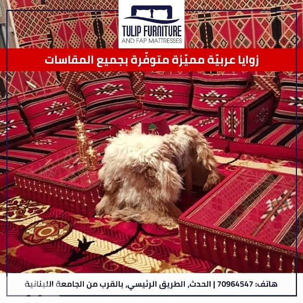 زوايا عربي 2