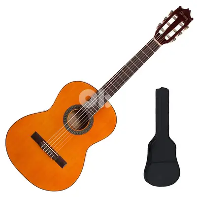 Ibanez Classical Guitar