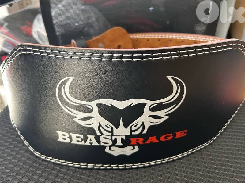 lift belt 1