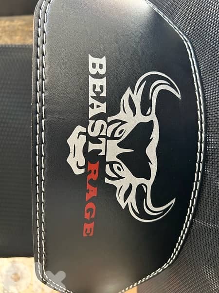 lift belt 2