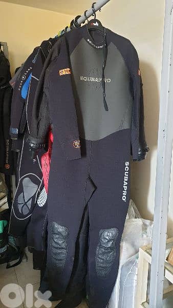 freedive 40$ piece 12