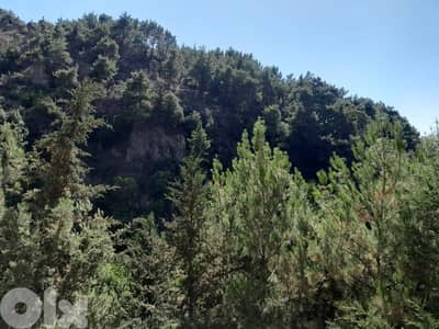 ارض للبيع في الرملية land for sale in rmlye aley