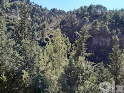 ارض للبيع في الرملية land for sale in rmlye aley