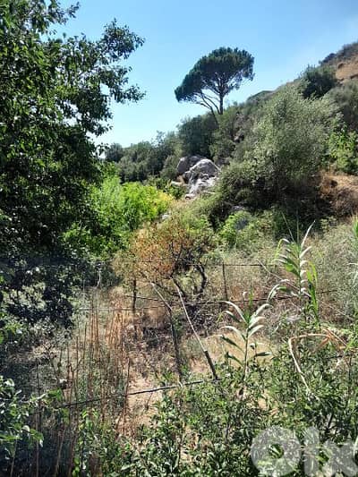 ارض للبيع في الرملية land for sale in rmlye aley