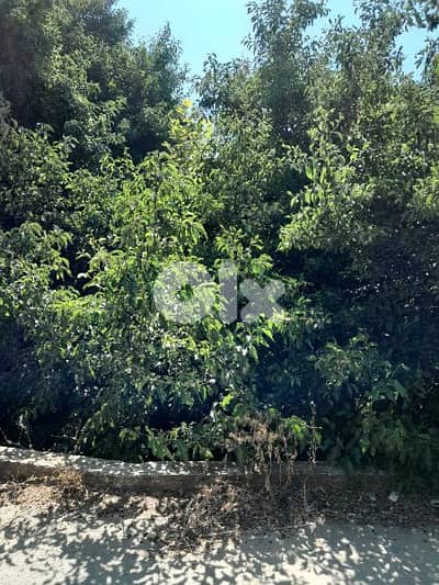 ارض للبيع في الرملية land for sale in rmlye aley