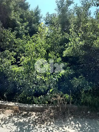 ارض للبيع في الرملية land for sale in rmlye aley