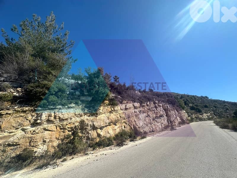 4000m2 land+open view for sale in Bchaaleh/Batroun 1