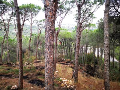 6213 SQM Prime Location Land in Zandouka, Metn