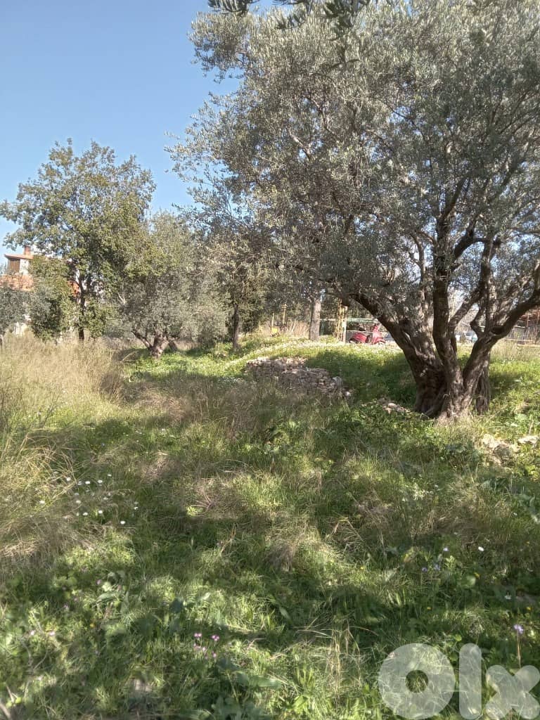 1300 Sqm | Land For Sale In Miyyeseh | Mountain View 0