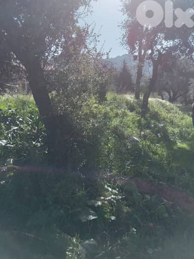 1300 Sqm | Land For Sale In Miyyeseh | Mountain View