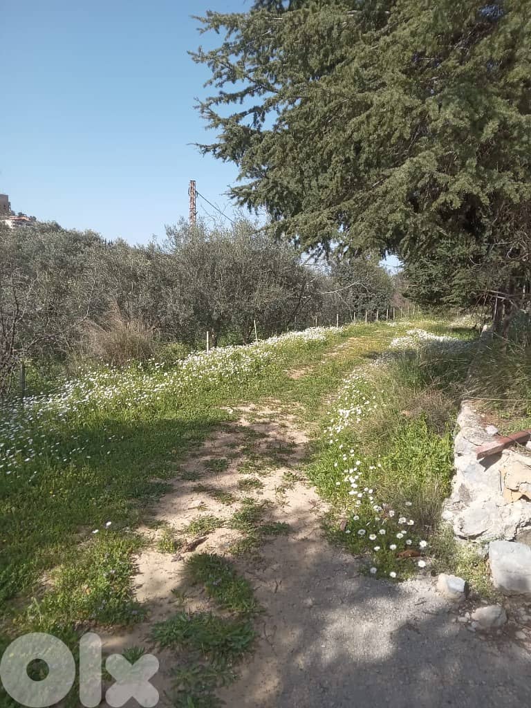 1300 Sqm | Land For Sale In Miyyeseh | Mountain View 3