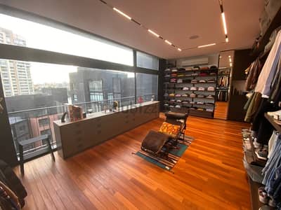 Designed penthouse with swimming pool terrace  and open view