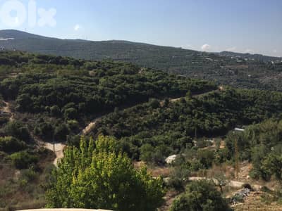 Land for Sale in Beit Hebbak-Jbeil ارض للبيع في بيت حباق-جبيل