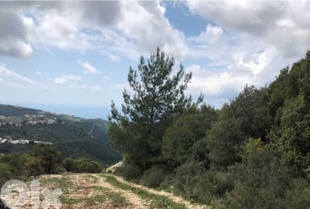 Land for Sale in Beit Hebbak-Jbeil ارض للبيع في بيت حباق-جبيل