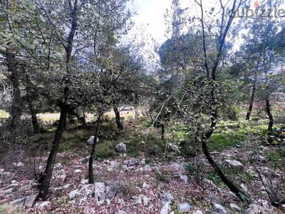 Land for sale in Ouyoun, 765 sqm أرض للبيع بالعيون